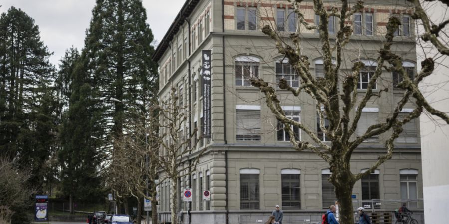 Das nun verabschiedete Gesetz über die kulturellen Institutionen regelt die staatlichen Kulturbetriebe, darunter das Naturhistorische Museum. (Archivbild)