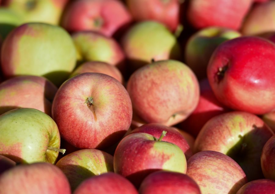 Die Proben waren dünnflüssig, bei einer handelte es sich um Apfelsaft.