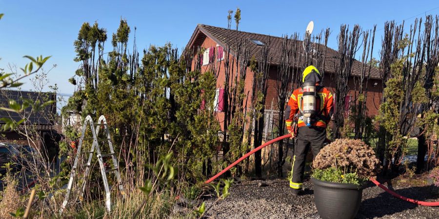 Rorschacherberg Heckenbrand