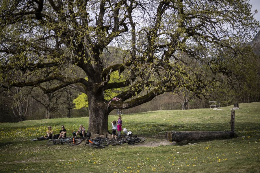 Das schöne Wetter dient als Steilvorlage für Familienausflüge.