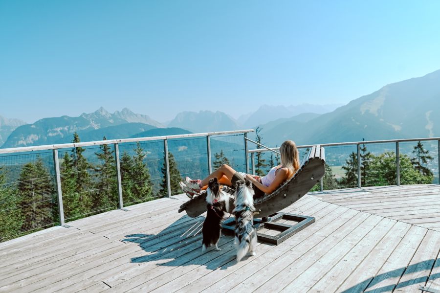 Die Region Seefeld ist sehr hundefreundlich und bietet zahlreiche Wanderwege, Bademöglichkeiten und spezielle Services für Vierbeiner.