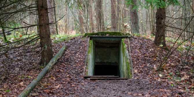 Bunker Wald Öffnung Bäume