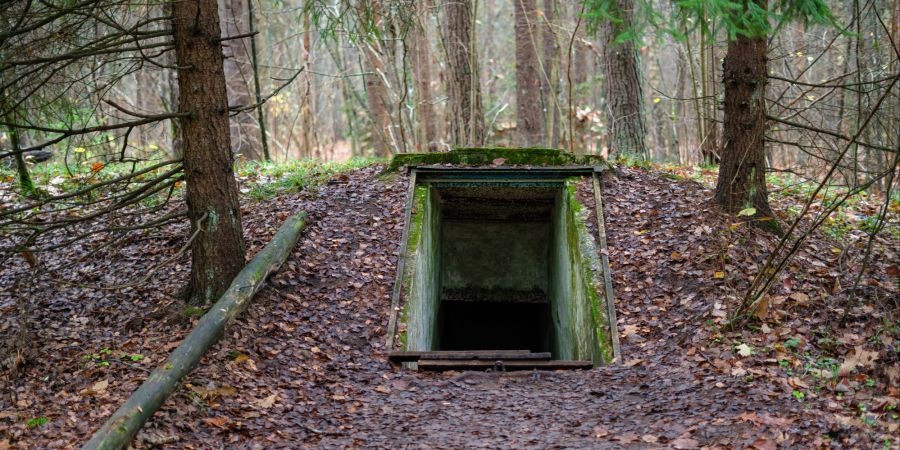 Bunker Wald Öffnung Bäume