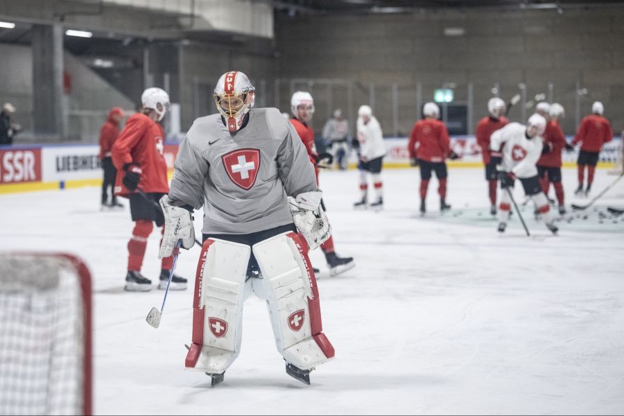 Eishockey Wm