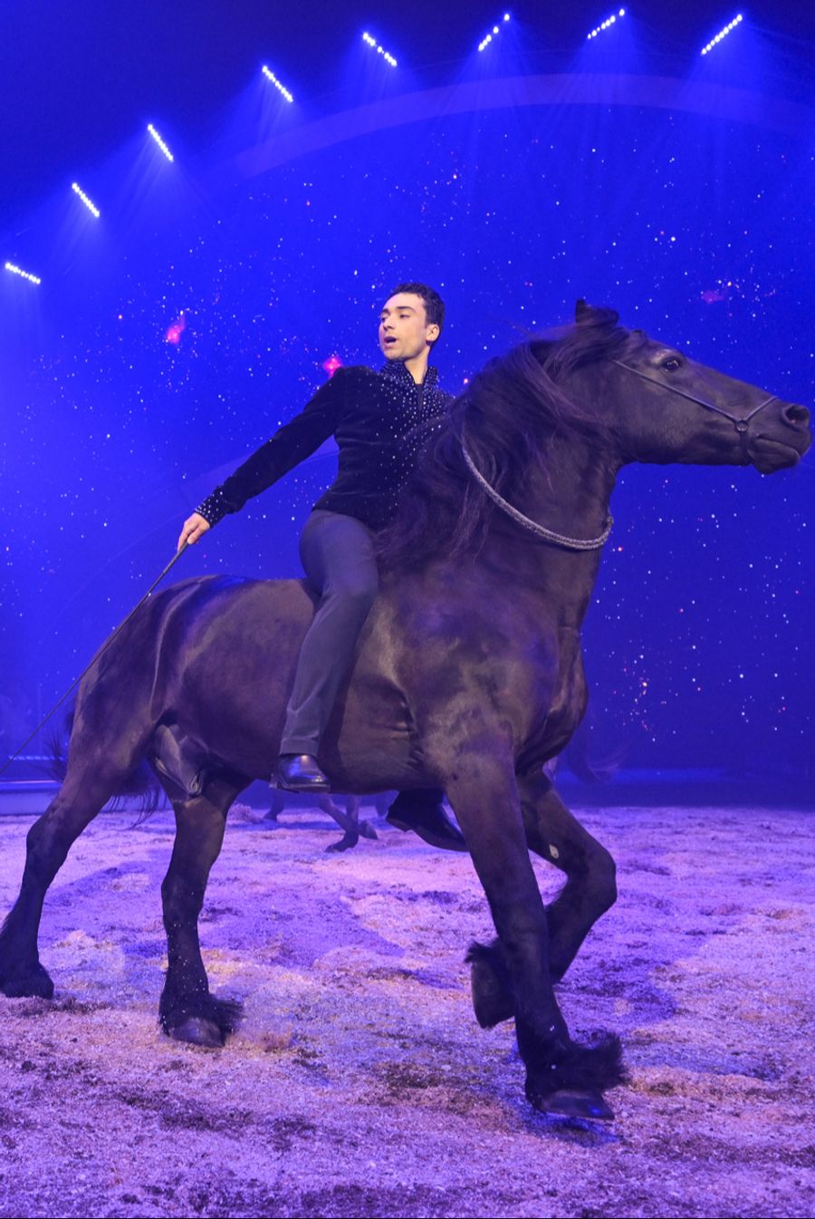 Wie jedes Jahr verzaubern die traditionellen Pferdenummern der Knie-Sprösslinge das Publikum.