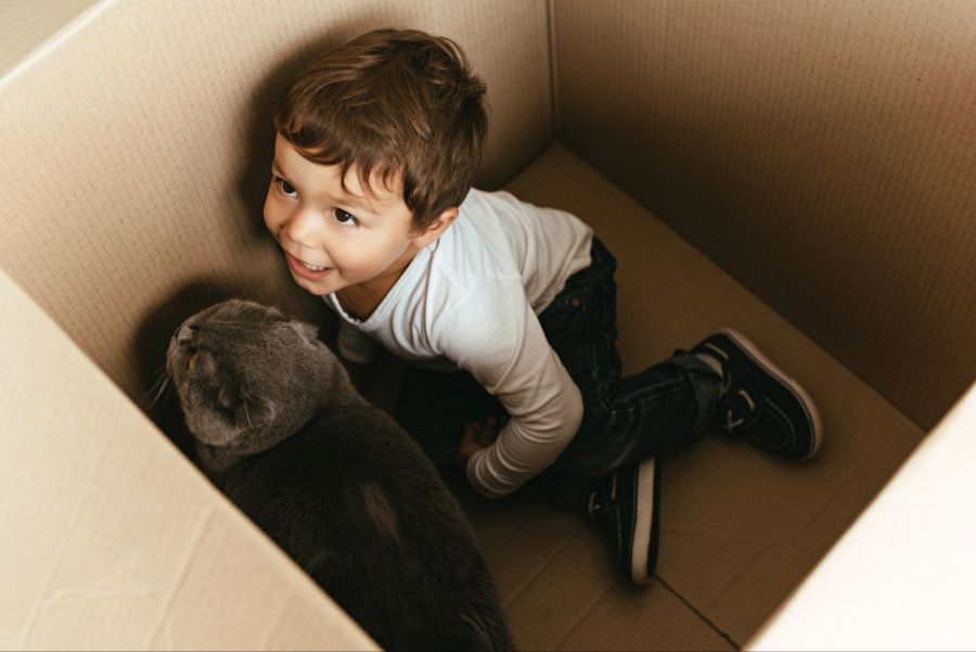 katze verhalten