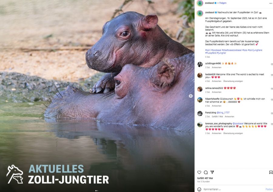 Zoo Basel