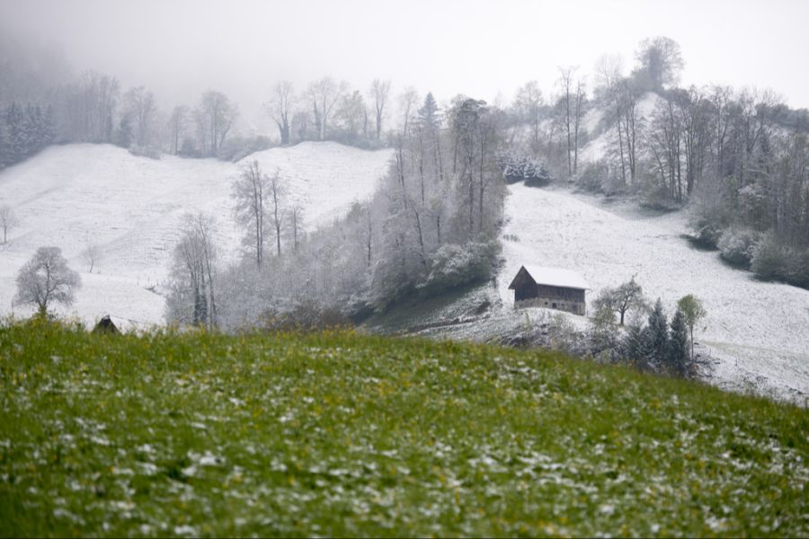 Am Samstag liegt die Schneefallgrenze zwischen 1400 und 1600 Metern.  (Symbolbild)