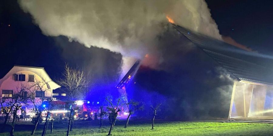 Viel Rauch in Zuchwil SO: Mehrere Fahrzeuge in der landwirtschaftlich genutzten Holzhalle sind bei einem Brand beschädigt worden.