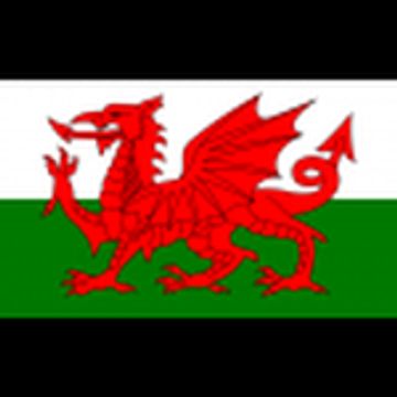 Wales U19