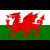 Logo Wales U19