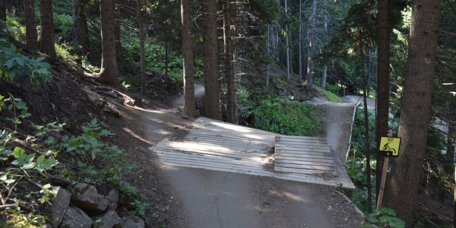 Mountainbiker