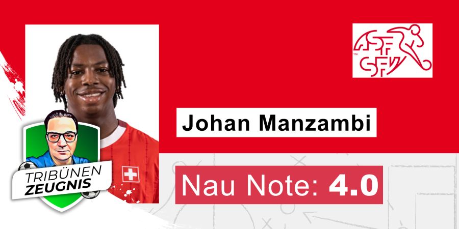 Johan Manzambi
