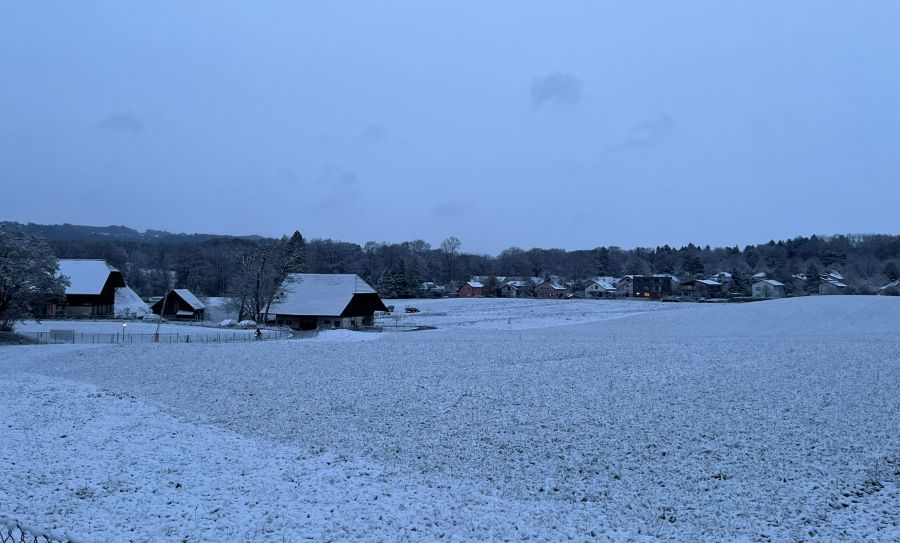 Wintereinbruch in Wabern.