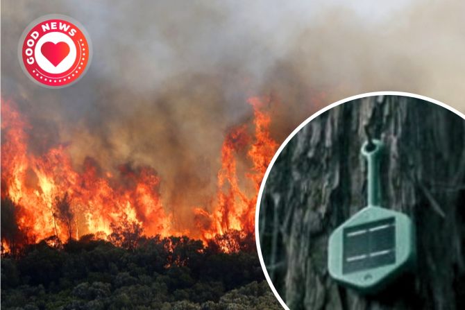 Waldbrand Sensor