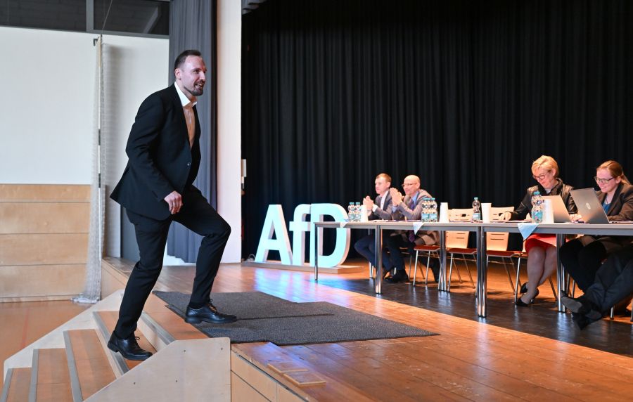 Ein AfD-Politiker stellte zwei Jugendliche, die Wahlplakate beschädigten.