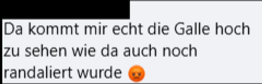 «Da kommt mir die Galle hoch, zu sehen, wie da auch noch randaliert wurde», schreibt eine weitere Frau.