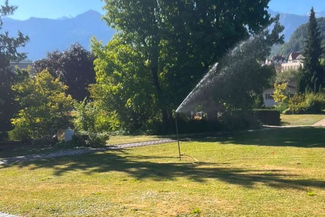 wasser