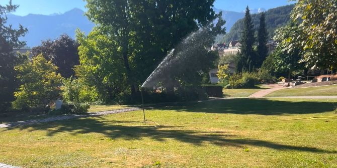 wasser