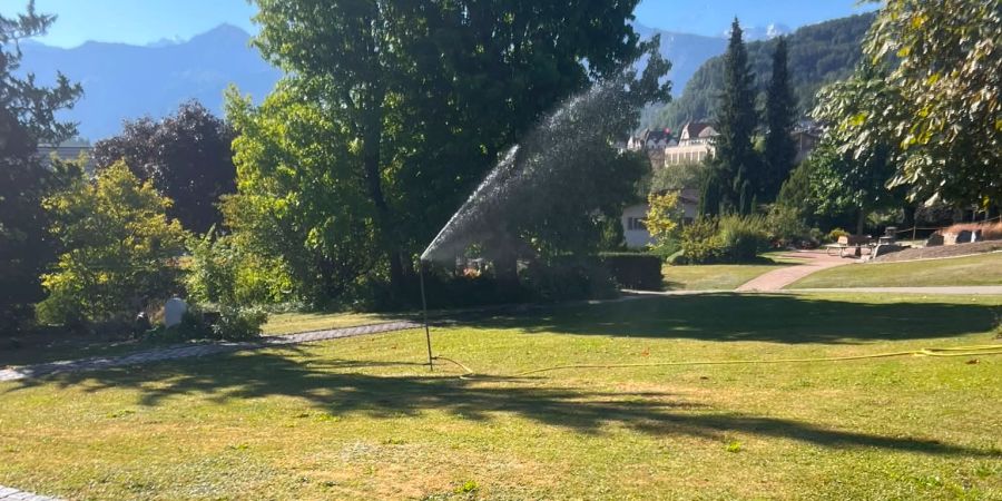 Wer Rasen bewässert oder Pools füllt, riskiert eine Busse von 5000 Franken.