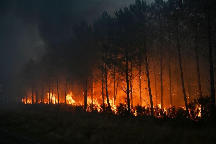 Feuer