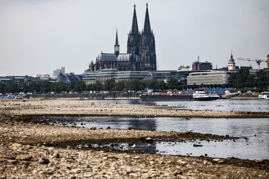 rhein