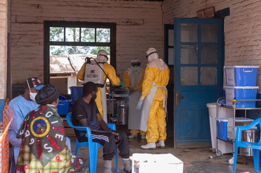 Ebolavirus