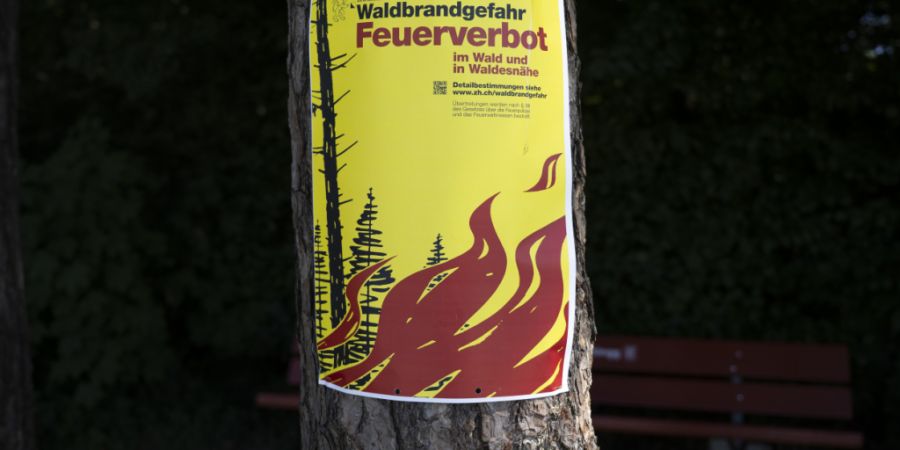 Der Kanton Glarus reagiert auf die aktuell grosse Waldbrandgefahr und erlässt ein umfassendes Feuerverbot. (Archivbild)