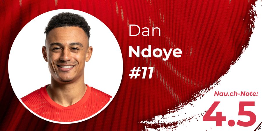 Dan Ndoye WM 2026