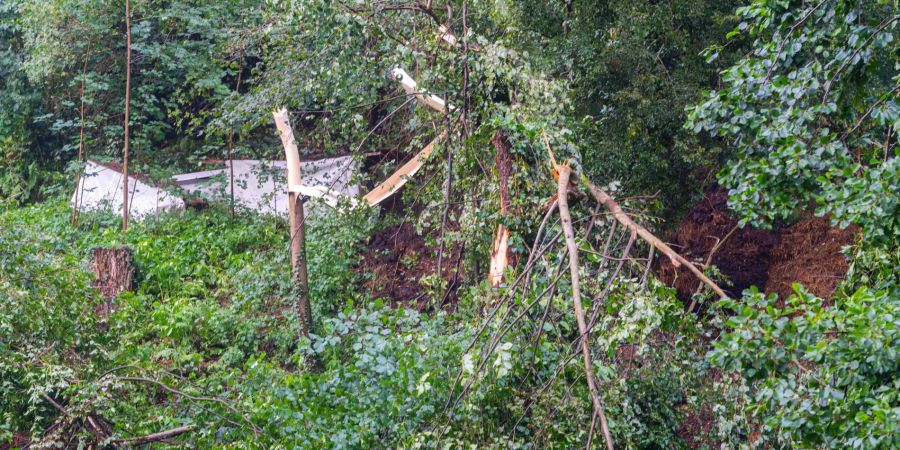 Baum Unwetter