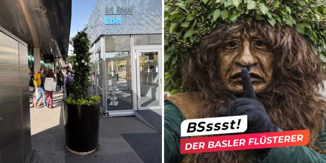 basler flüsterer