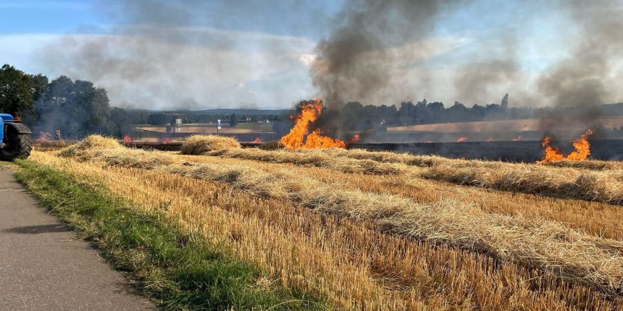 Gunzgen Stoppelfeldbrand