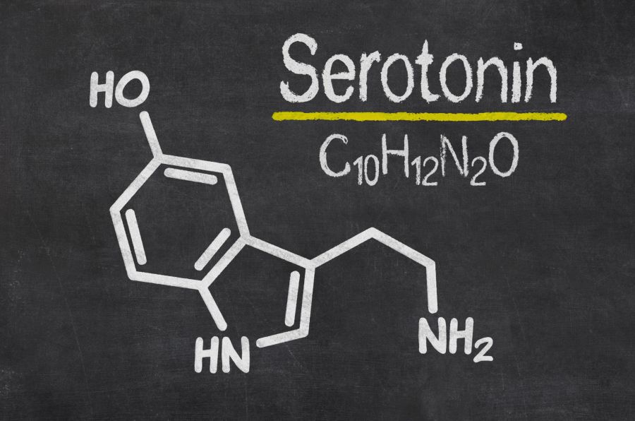 serotonin neurotransmitter