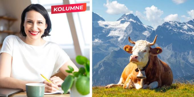Vegan-Kolumne - Werden unsere Kühe bald komplett überflüssig?