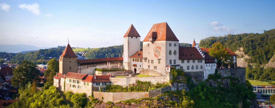 Die Schweizer Schlösser