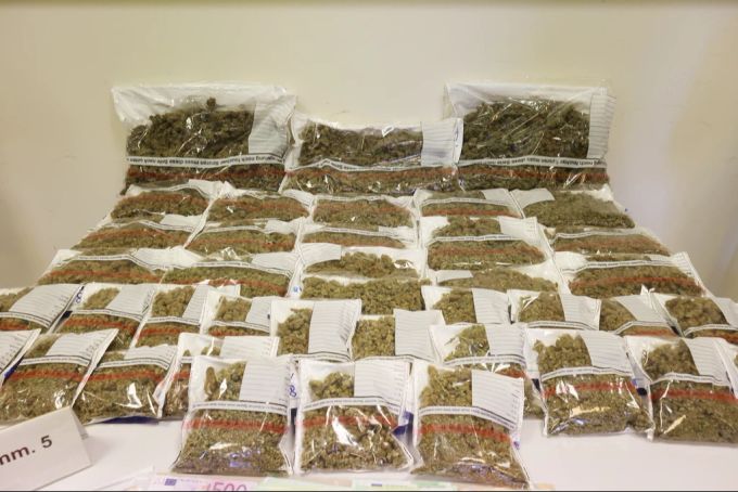 Die Ratten beschädigen illegale Betäubungsmittel, die der Polizei als Beweise gelagert werden. (Symbolbild) Betäubungsmittel Marihuana Symbolbild