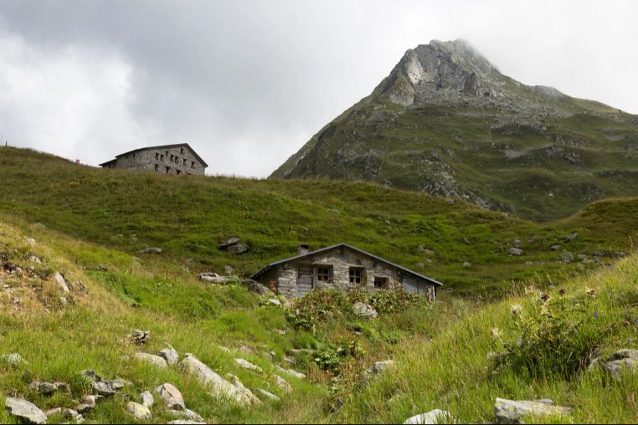 Für 390 Franken kann man das Tier mieten – und eine Nacht in der Alphütte übernachten. (Symbolbild)