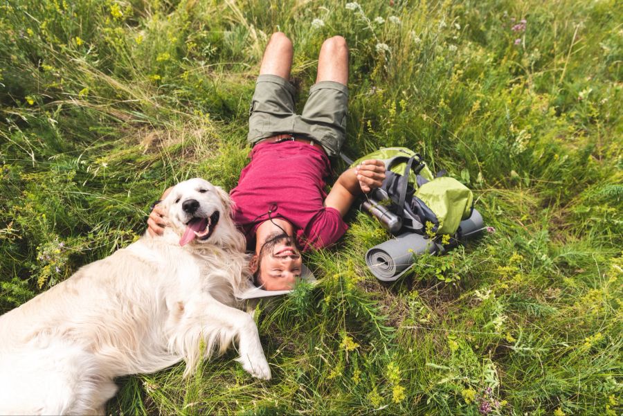 Tourist Mann Hund Wiese