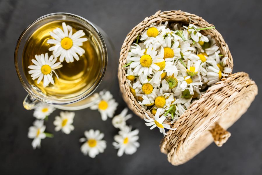 Kamillenblüten in Körbchen, Kamillentee