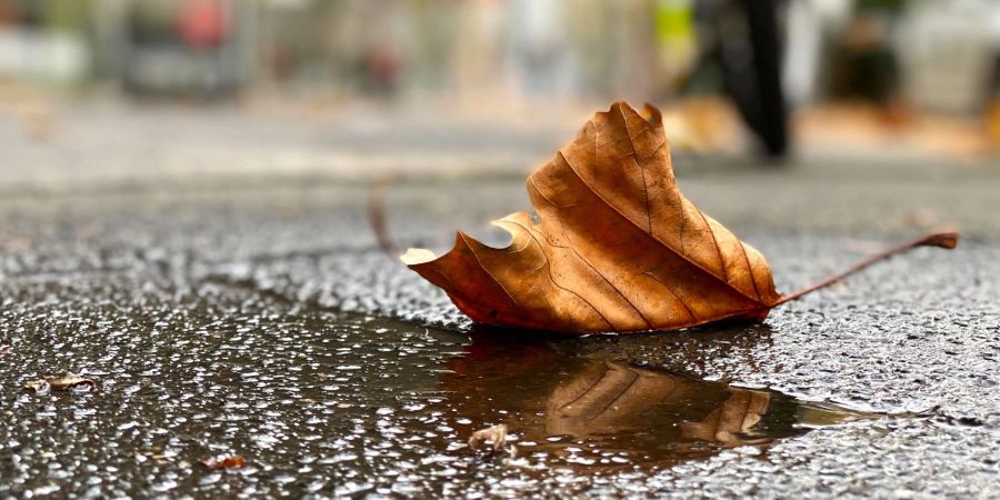 Auch Regen ist am Wochenende möglich.