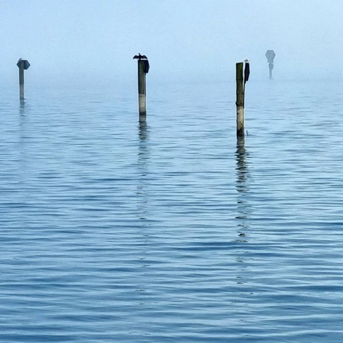 Bodensee Regatta