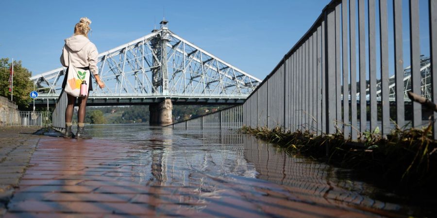 Die Elbe in Sachsen führt seit Wochenbeginn kein Hochwasser mehr. (Archivbild)