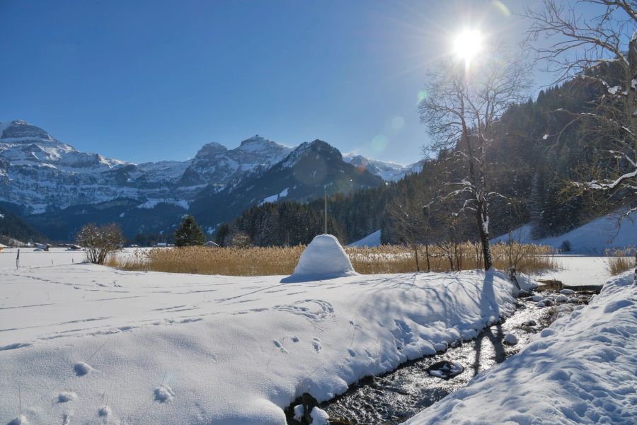 Lenk Lenkerseeli Simmental