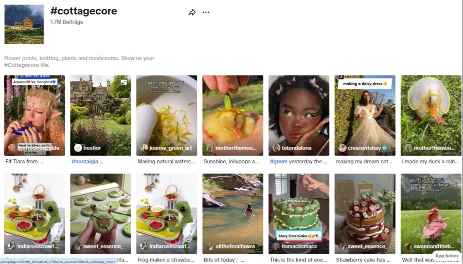 Unter dem Hashtag «Cottagecore» träumen Junge auf Tiktok vom Dörfli-Leben.