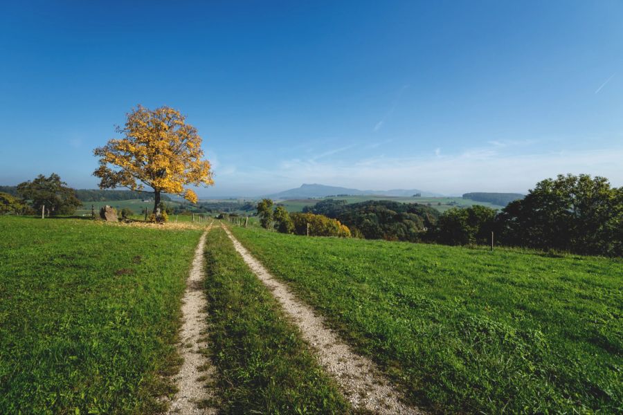 Landschaft Schaffhausen