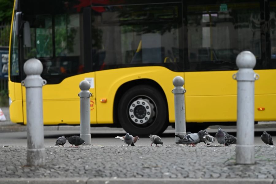 Im Vergleich zum deutschsprachigen Ausland schneidet der Schweizer ÖV jedoch besser ab. Hier abgebildet ist ein Bus in Berlin.