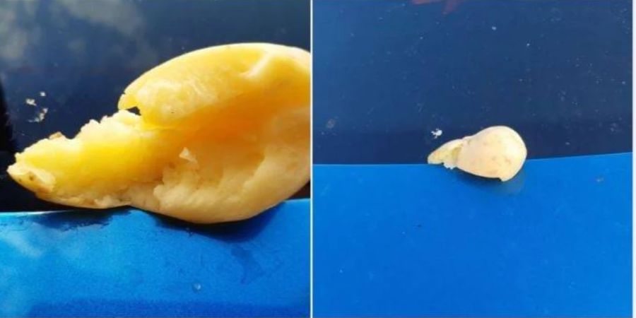 Selbstjustiz in Rorschach – ein Anwohner bewirft Autos mit faulem Essen.