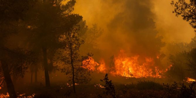 Grossbrand nahe Athen