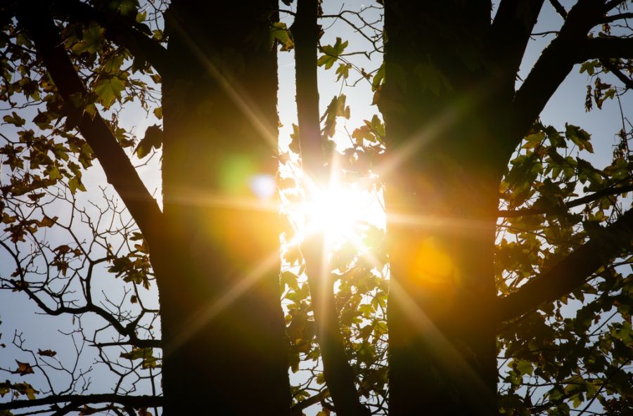 Die Mai-Sonne steht schon bei über 62 Grad, was dem Wert von Ende Juli entspricht.