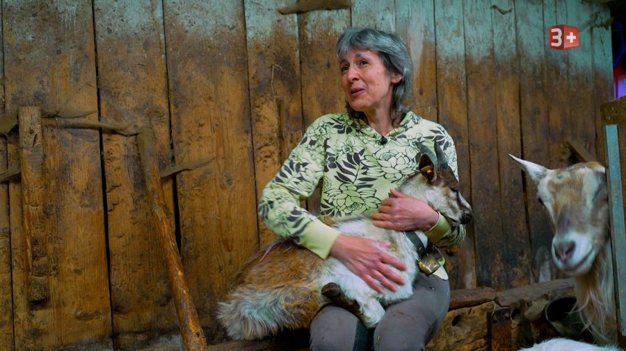 Barbara hat auf ihrem Erlebnishof viele Tiere.